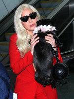 Unul dintre răpitorii câinilor cântăreţei Lady Gaga a fost condamnat la 21 de ani de închisoare/ Profimedia
