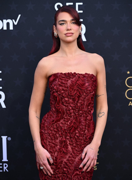 29th Annual Critics' Choice Awards, Arrivals, The Barker Hangar, Los Angeles, California, USA - 14 Jan 2024