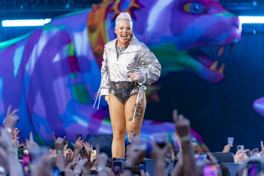 Pink - Alecia Beth Moore