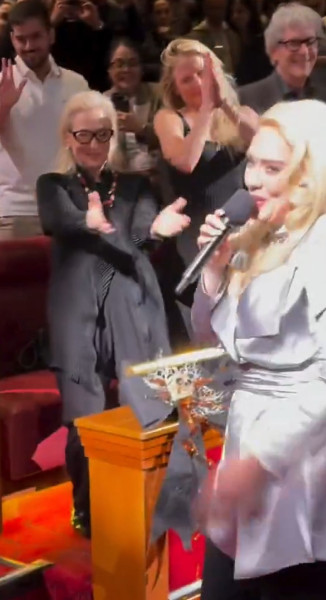 Adele Channels Meryl Streep's Movie Character, Gets Hug From The Star - 2 Nov 2024