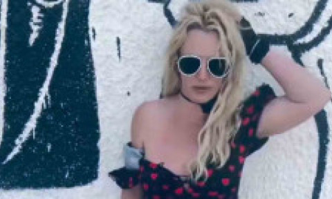 Prietenii lui Britney Spears, îngrijorați de condițiile în care locuiește: „Casa ei este o harababură. Nu face curățenie după câini”