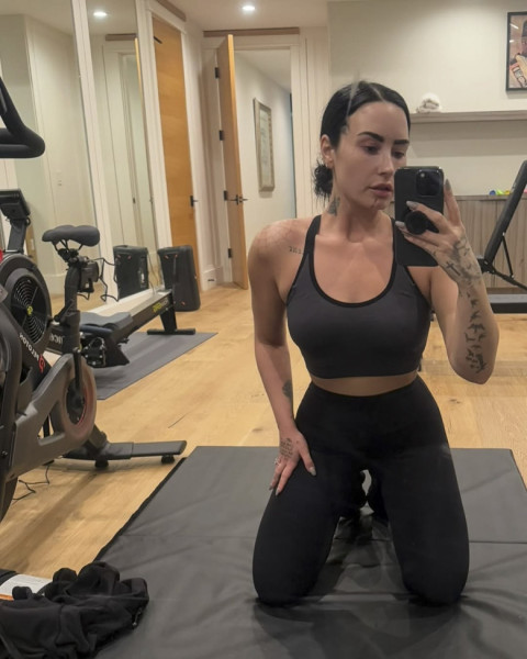 Demi Lovato on social media