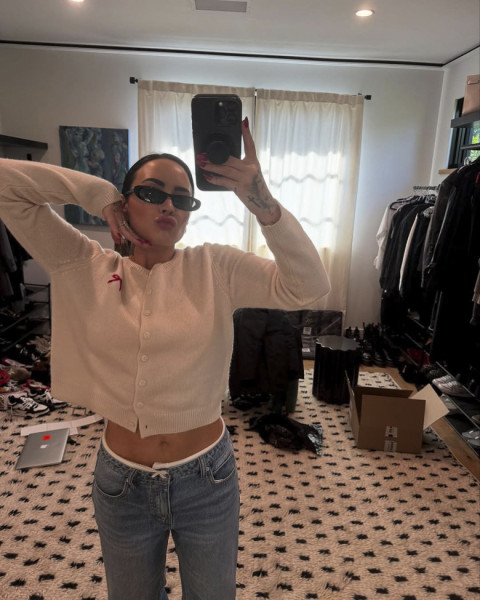 Demi Lovato on social media