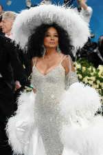 Diana Ross, Met Gala 2025
