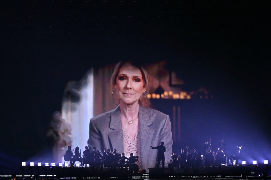 Celine Dion la Eurovision 2025/ Profimedia