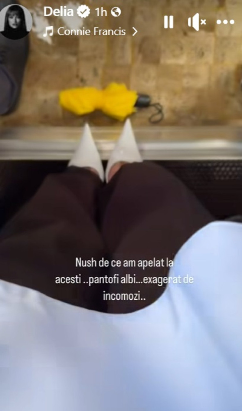 Delia, la ceremonia de învestire a lui Nicușor Dan