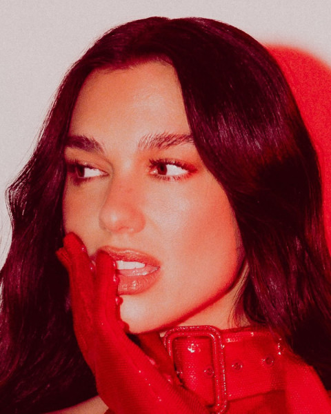 dua lipa (15)