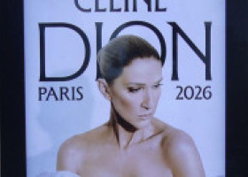 Celine Dion, imagini emoționante înainte de marea revenire pe scenă. Mesaj special din mijlocul naturii