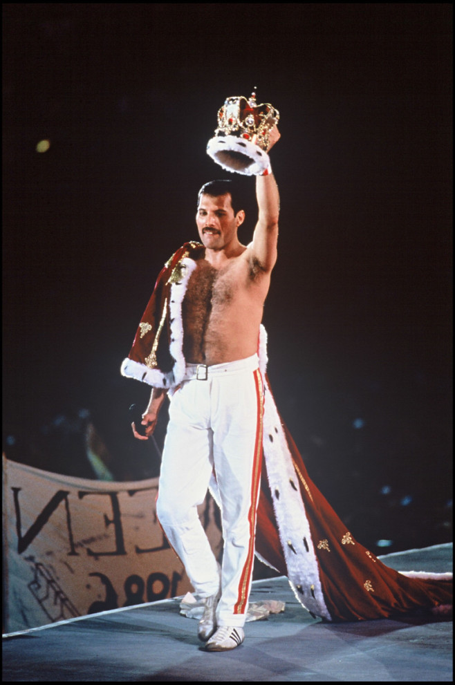 freddie (15)