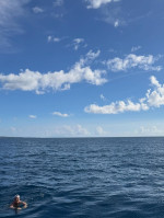 Katy Perry și Justin Trudeau/ Foto: Instagram