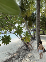 theo rose si anghel damian vacanta in maldive (8)