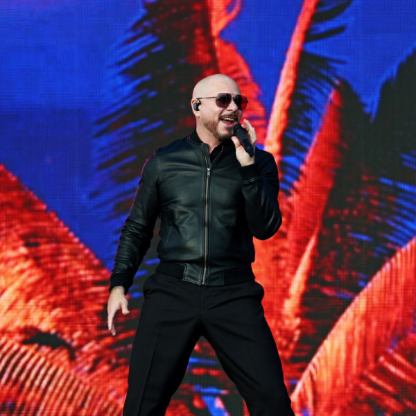 pitbull (1)