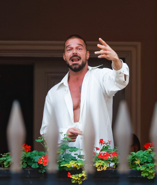 Ricky Martin/ Profimedia