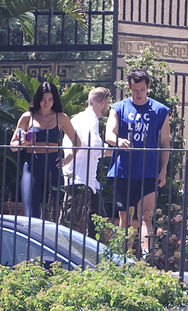 Dua Lipa și Callum Turner
