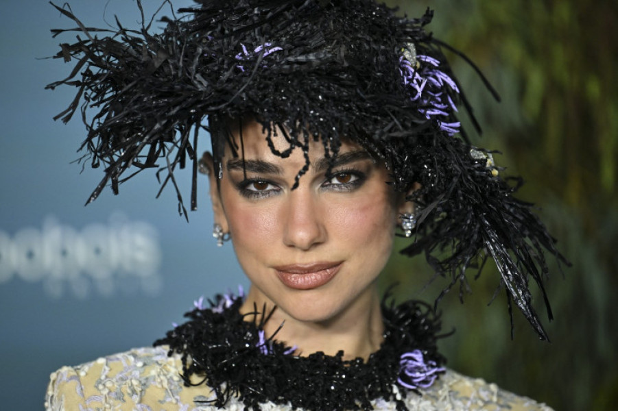 dua lipa (100)