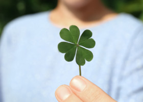 Cea mai norocoasă zi din decembrie 2025 pentru fiecare zodie. Ultima lună a anului vine cu mișcări curajoase și planuri solide