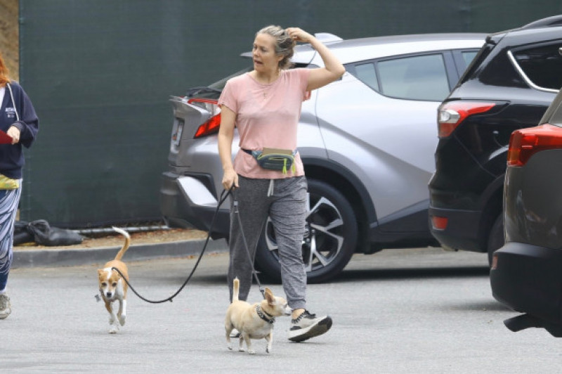 *EXCLUSIVE* Alicia Silverstone is makeup-free and stunning as she walks her dogs in the Hollywood Hills