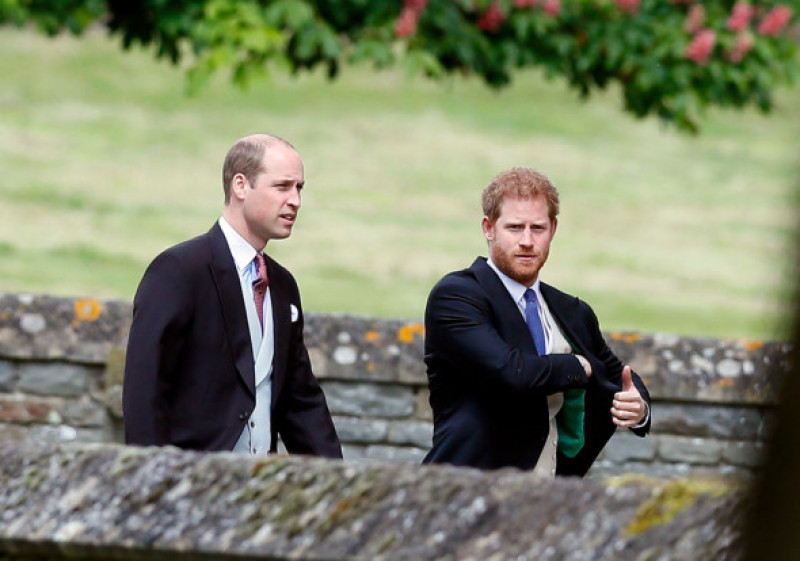 Prințul Harry și William