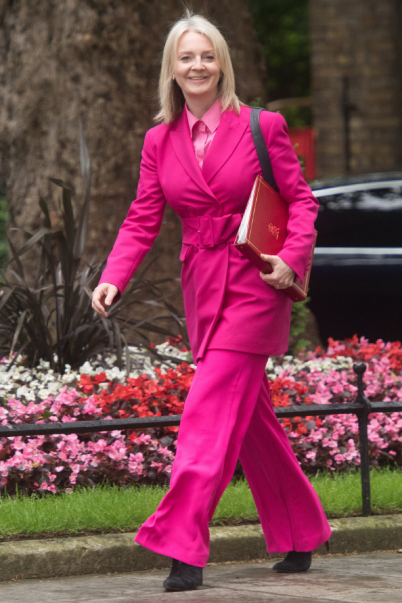 Liz Truss - Chief Secretary to the Treasury arrives for a cabinet meeting at Downing Street, London, England, UK on Tuesday 25 June 2019. Picture by Justin Ng/Avalon.