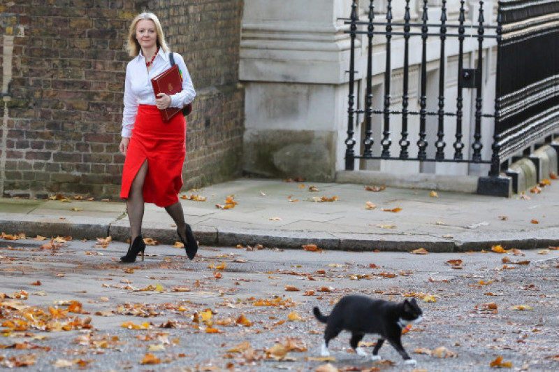 Downing Street, London, UK 13 Nov 2018 - Liz Truss - Chief Secretary to the Treasury arrives in Downing Street for the weekly Cabinet Meeting. Credit: Dinendra Haria/Alamy Live News