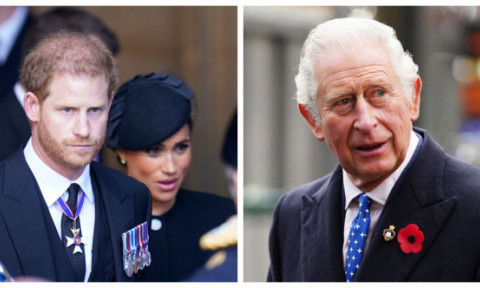 Regele Charles ar fi în discuții pentru a-l vizita pe Harry în SUA. De ce se împotrivesc prințul William și regina Camilla