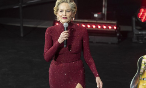 Din ce face bani Sharon Stone la 67 de ani: "Mai mult decât din filme". Acum 24 de ani a pierdut 18 milioane $ după ce s-a îmbolnăvit