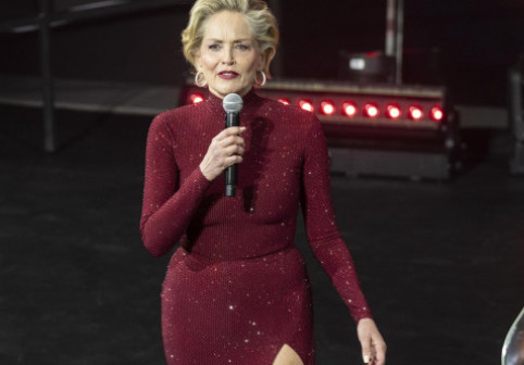 Din ce face bani Sharon Stone la 67 de ani: "Mai mult decât din filme". Acum 24 de ani a pierdut 18 milioane $ după ce s-a îmbolnăvit