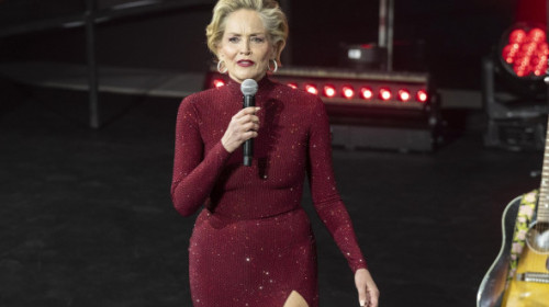 Din ce face bani Sharon Stone la 67 de ani: "Mai mult decât din filme". Acum 24 de ani a pierdut 18 milioane $ după ce s-a îmbolnăvit