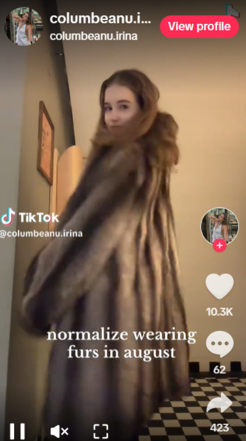 Irina Columbeanu/ Foto: Captură video TikTok