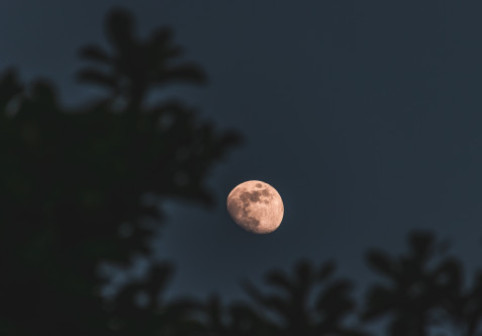 Luna Plină din 9 august este Luna Sturion. Aduce revelații transformatoare și iubire profundă pentru 2 zodii