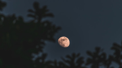 Luna Plină din 9 august este Luna Sturion. Aduce revelații transformatoare și iubire profundă pentru 2 zodii