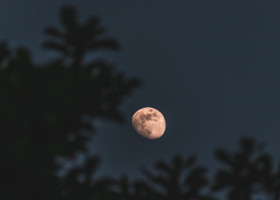 Luna Plină din 9 august este Luna Sturion. Aduce revelații transformatoare și iubire profundă pentru 2 zodii