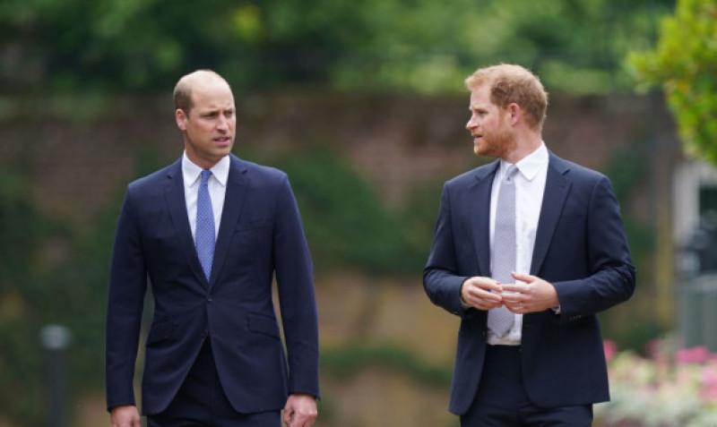 printul william si printul harry