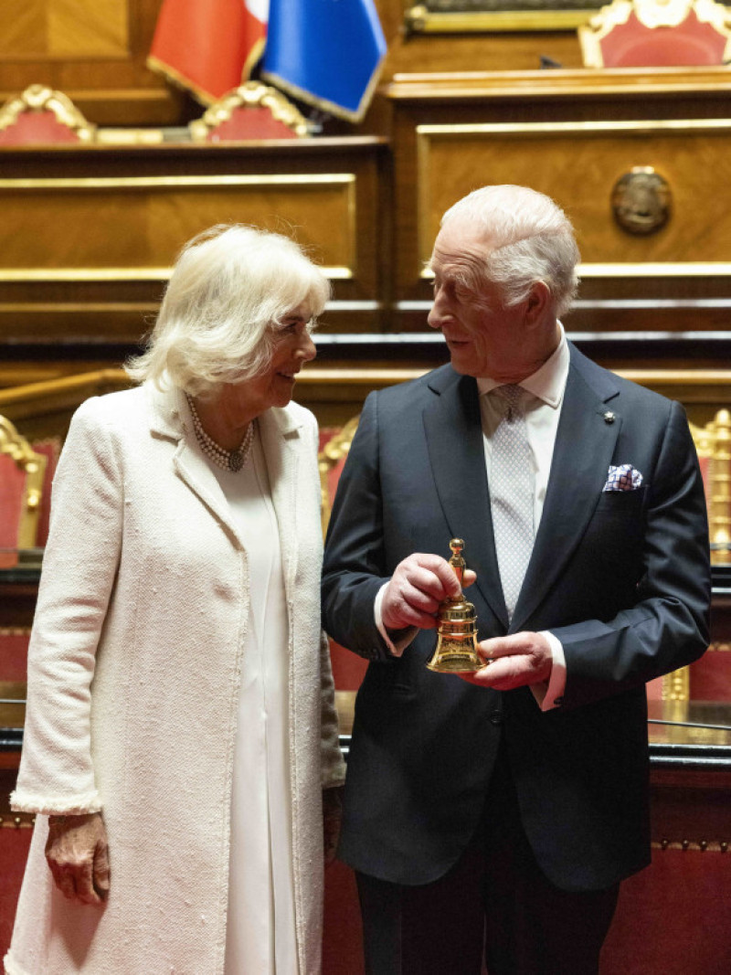 Regina Camilla și Regele Charles/ Profimedia