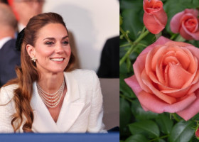 Prințesa de Wales primește o nouă onoare: un trandafir ce-i poartă numele, pentru a sublinia puterea vindecătoare a naturii. „Superb!”