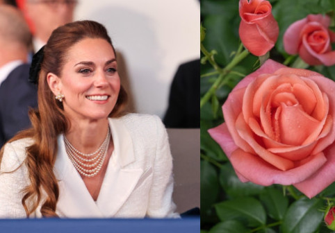 Prințesa de Wales primește o nouă onoare: un trandafir ce-i poartă numele, pentru a sublinia puterea vindecătoare a naturii. „Superb!”