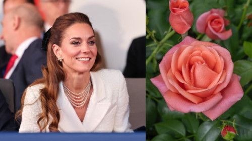 Prințesa de Wales primește o nouă onoare: un trandafir ce-i poartă numele, pentru a sublinia puterea vindecătoare a naturii. „Superb!”