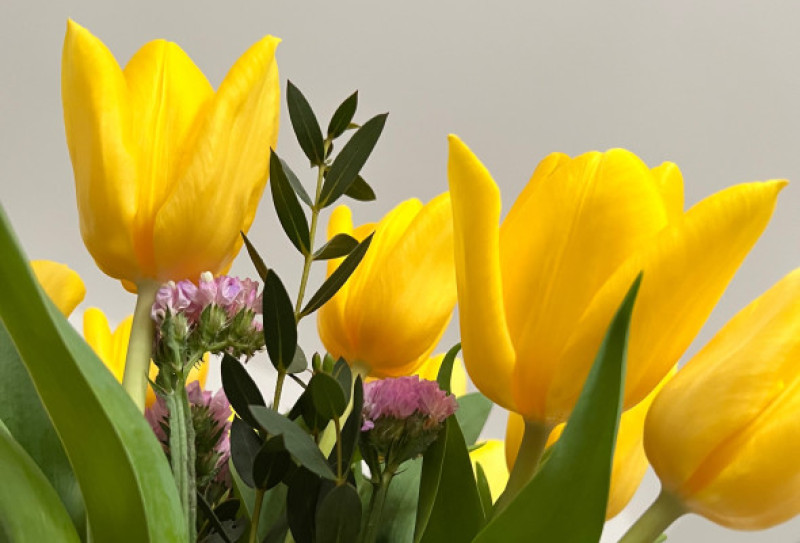 O fotografie cu flori de primăvară/ Shutterstock