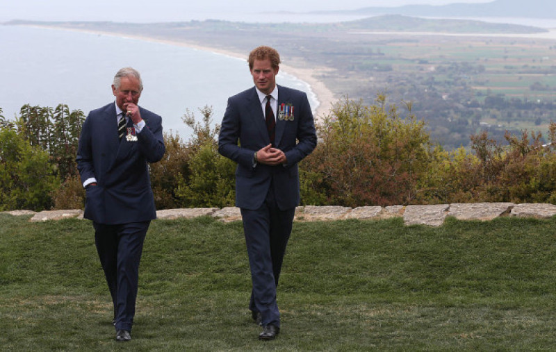 regele charles si printul harry