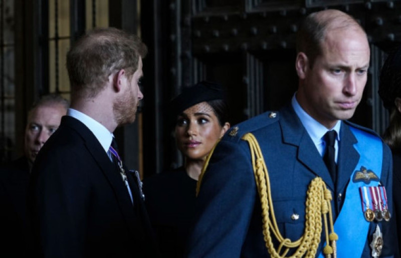 printul harry, meghan markle, printul william