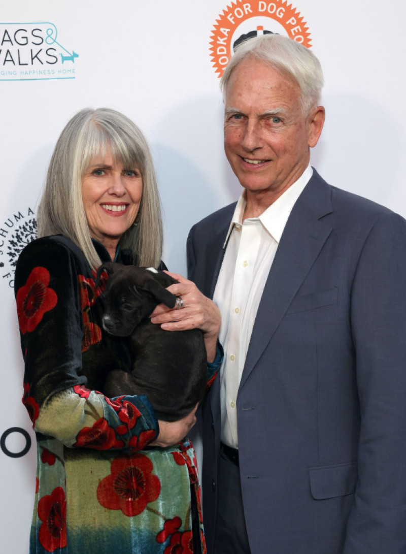 LOS ANGELES, CA - OCTOBER 19: Mark Harmon, Pam Dawber at the Wags &amp; Walks Gala 2024 at Taglyan Complex on October 19, 2024 in Los Angeles, California. Credit Faye Sadou/MediaPunch Credit: MediaPunch Inc/Alamy Live News