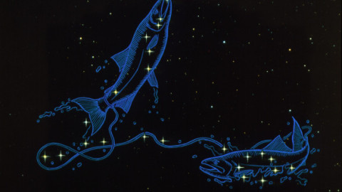 Venus în Pești duce romantismul la un alt nivel, iar trei zodii vor fi pur și simplu cucerite. Inimile se deschid, scânteile apar