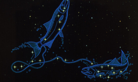 Venus în Pești duce romantismul la un alt nivel, iar trei zodii vor fi pur și simplu cucerite. Inimile se deschid, scânteile apar