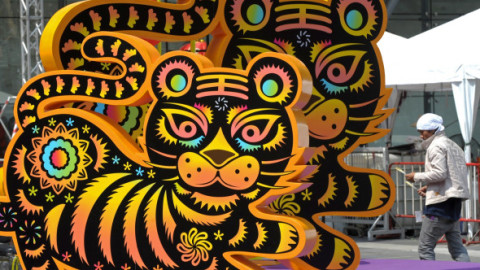 Ce aduce Anul Calului de Foc 2026 pentru zodia Tigru. Mai multă maturitate și răbdare în dragoste, afirmare în carieră