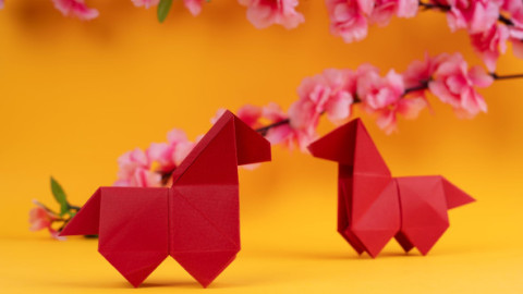 De ce Anul Calului de Foc este considerat ghinionist în dragoste. Mitul vechi de secole care încă influențează destinele romantice