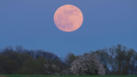 Ce aduce Luna Plină Roz din aprilie 2026 pentru fiecare zodie. Momentul potrivit pentru face schimbări reale, ghidate de sinceritate