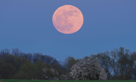 Ce aduce Luna Plină Roz din aprilie 2026 pentru fiecare zodie. Momentul potrivit pentru face schimbări reale, ghidate de sinceritate