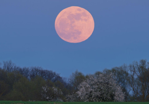 Ce aduce Luna Plină Roz din aprilie 2026 pentru fiecare zodie. Momentul potrivit pentru face schimbări reale, ghidate de sinceritate