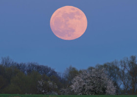 Ce aduce Luna Plină Roz din aprilie 2026 pentru fiecare zodie. Momentul potrivit pentru face schimbări reale, ghidate de sinceritate