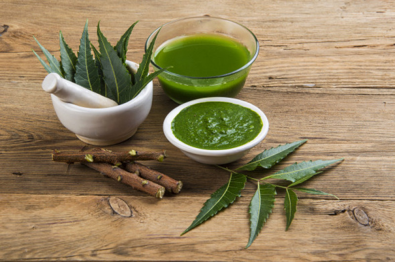Medicinal Neem leaves in mortar and pestle with neem paste
